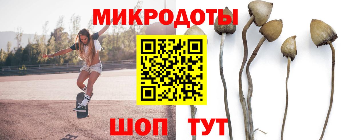 купить  сайты  Галлюциногенные грибы прущие грибы  Псилоцибиновые грибы Cubensis  Вход с VPN  Ачинск 